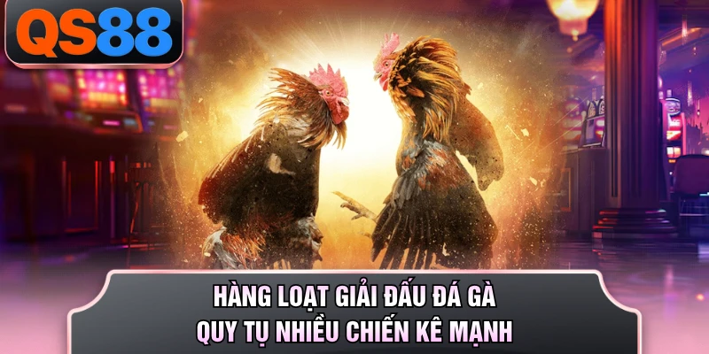 Hàng loạt giải đấu đá gà quy tụ nhiều chiến kê mạnh