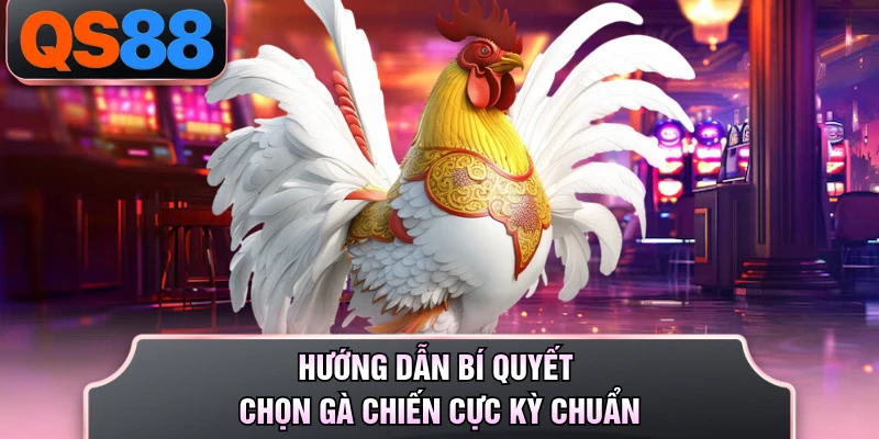 Hướng dẫn bí quyết chọn gà chiến cực kỳ chuẩn