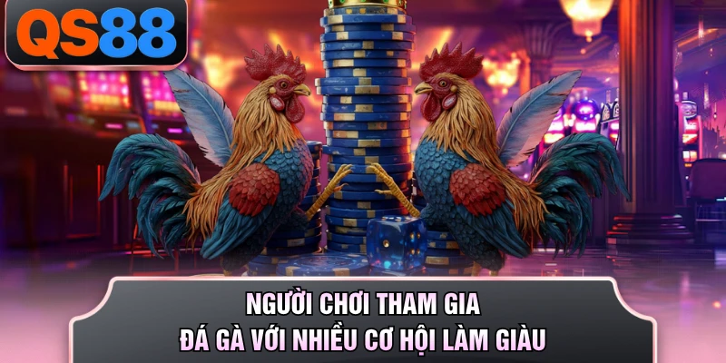 Người chơi tham gia đá gà với nhiều cơ hội làm giàu