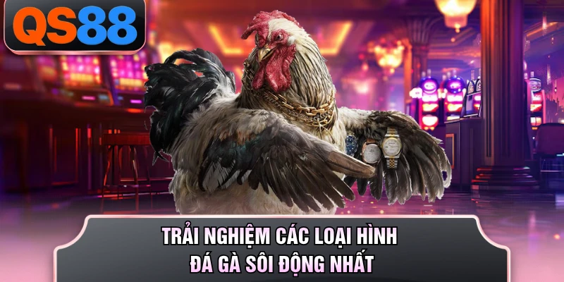 Trải nghiệm các loại hình đá gà sôi động nhất