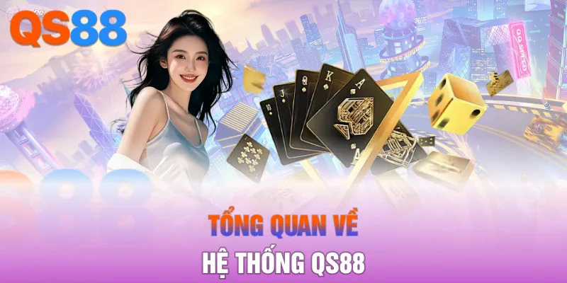 Tổng quan về hệ thống QS88